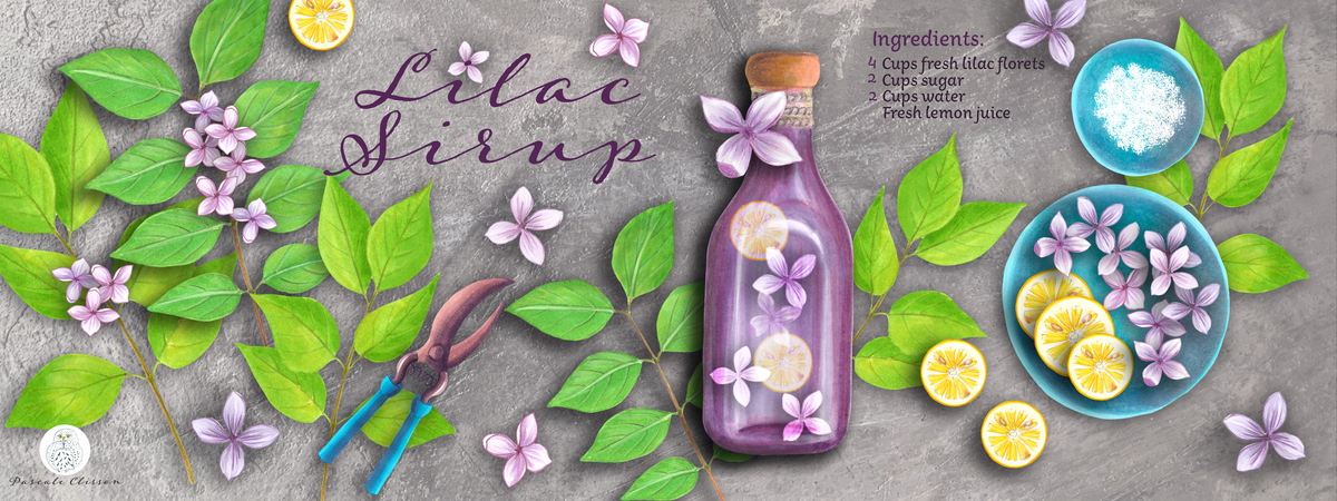 Handmade Lilac Sirup by Pascale Clisson