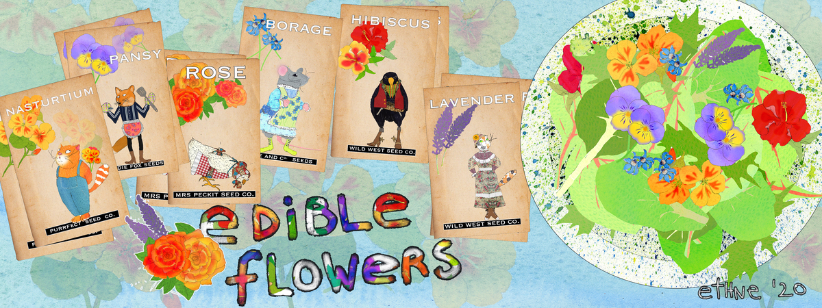 edible flowers by ethne