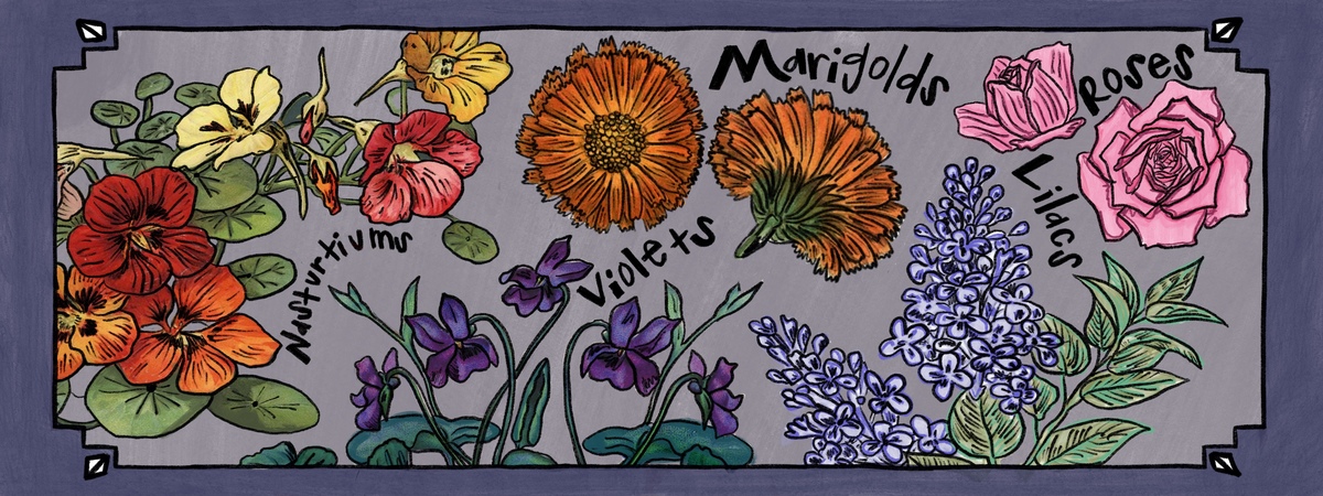 An Edible Flower Garden by Hanna Kirby
