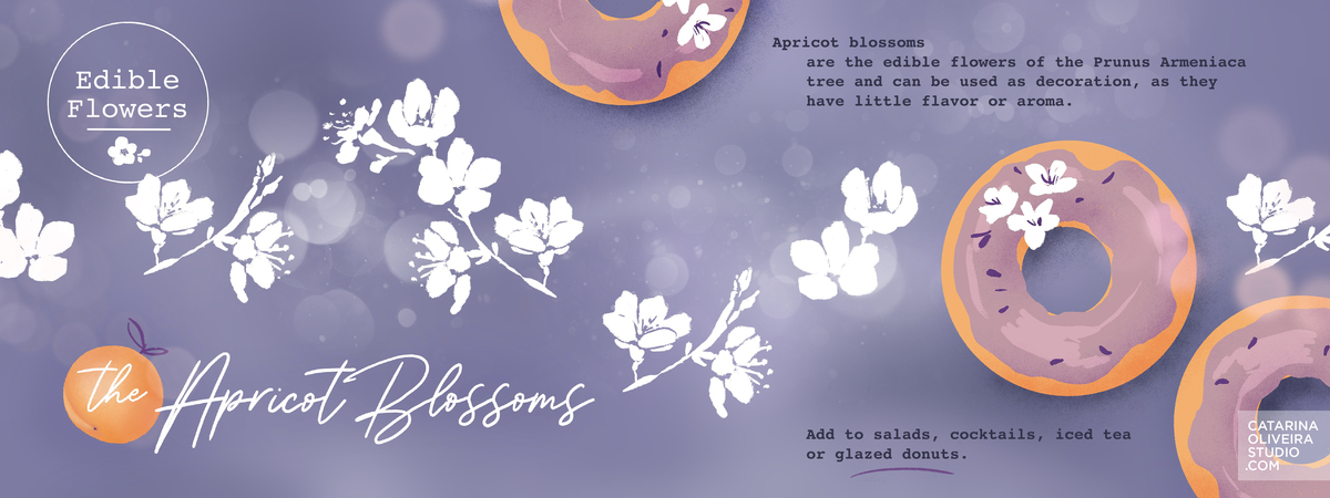 Apricot Blossoms by Catarina Oliveira