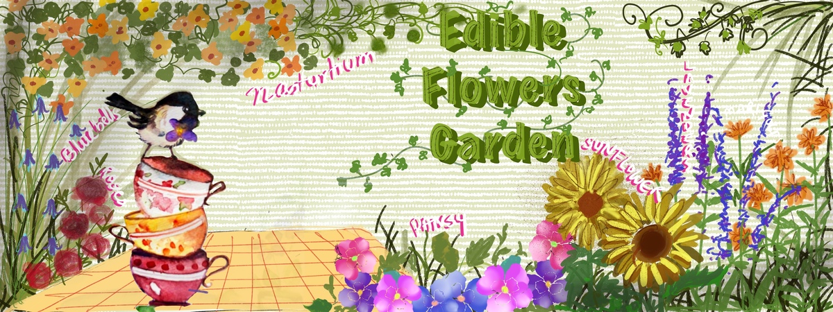 Edible flowers garden by Charu Jain
