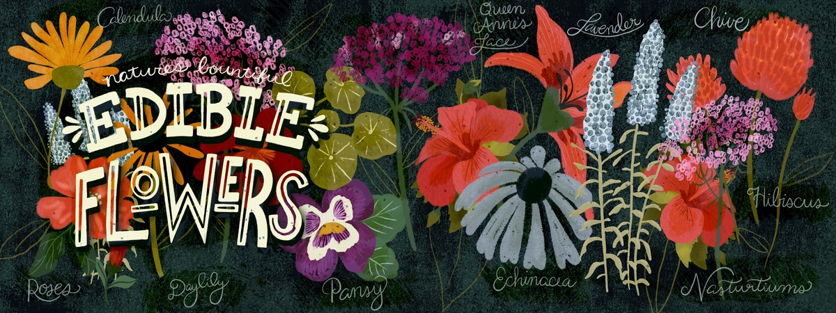 Nature’s bounty of edible flowers by Bridgett Stahlman