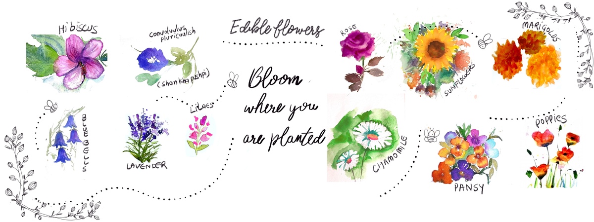 Wtarecolor edible flowers by Charu Jain