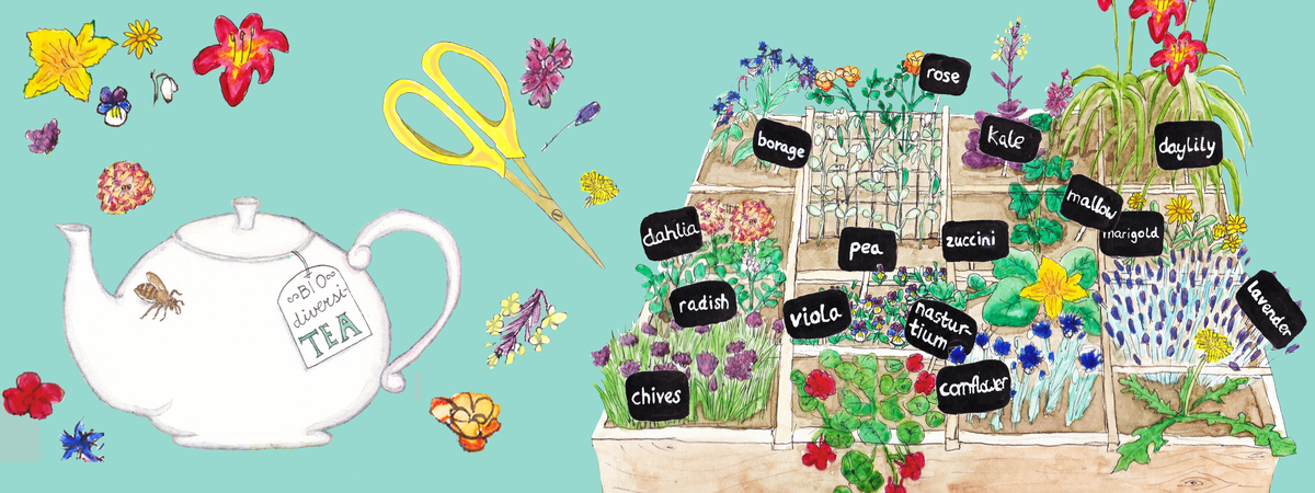 Edible flowers by Marjolijn de Winter