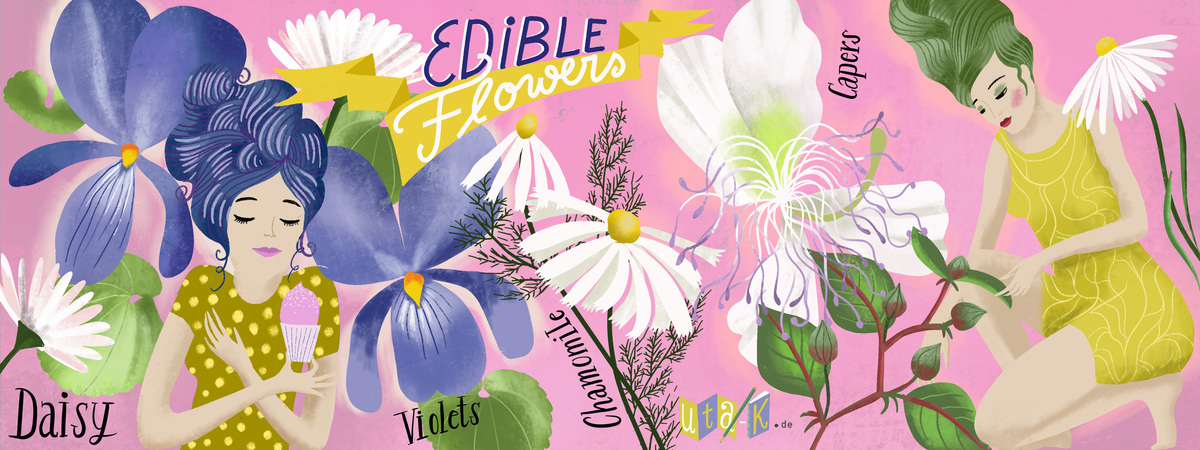 Violets, Capers & Daisy & Chamomile // Edible Flowers by Mira Paradies