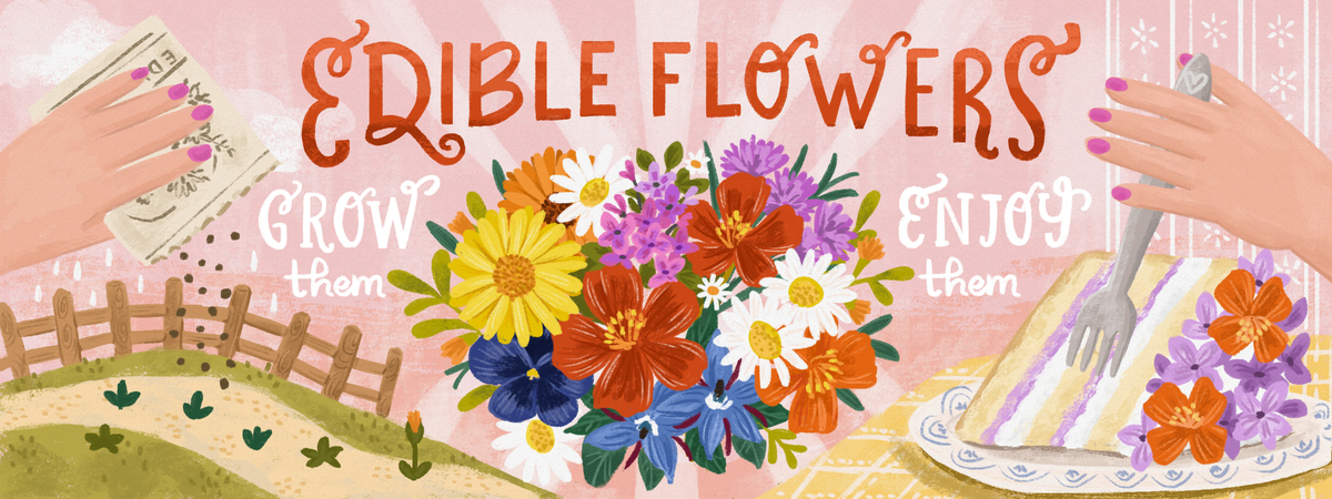 Edible Flowers by Olivia Gibbs
