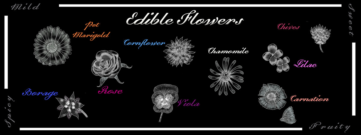 Edible Flowers by Doodle Tree Designs