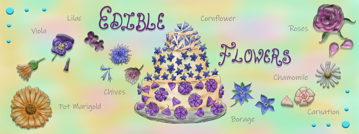 Cake Decorating with Edible Flowers by Doodle Tree Designs