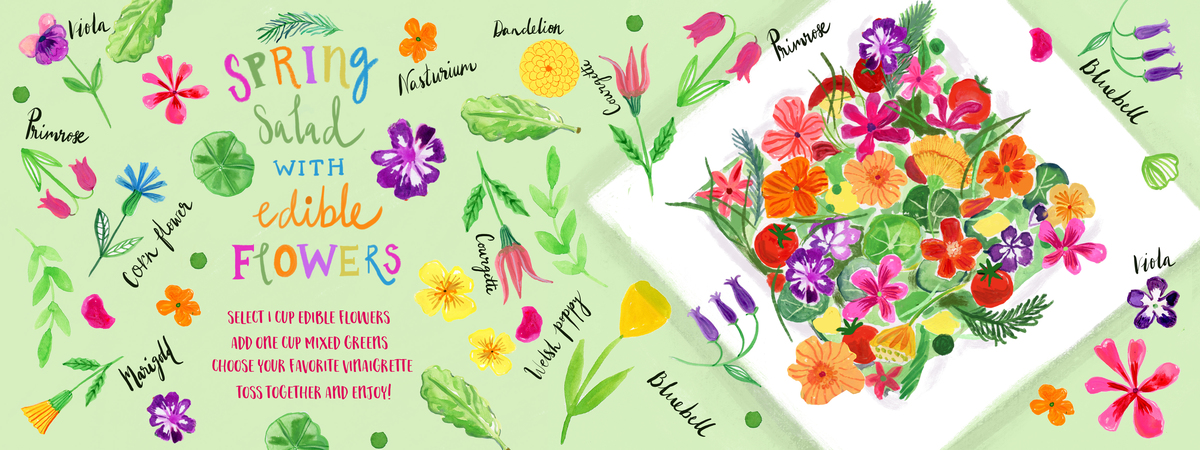 Hand Picked Design Challenge by Farida Zaman