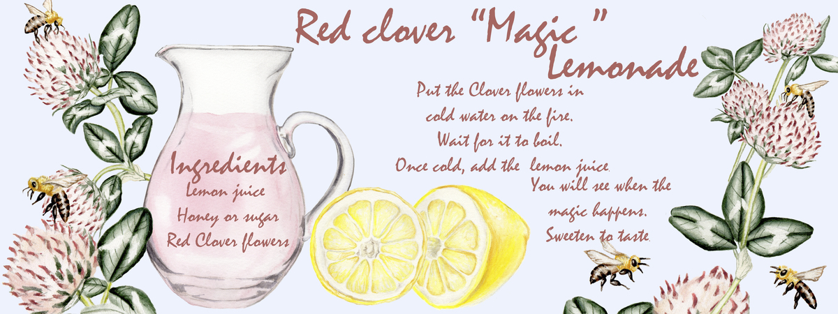 Red Clover Magic Lemonade by fewilustracion