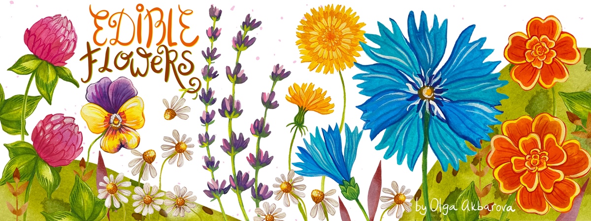 Edible Flowers by Olga Akbarova