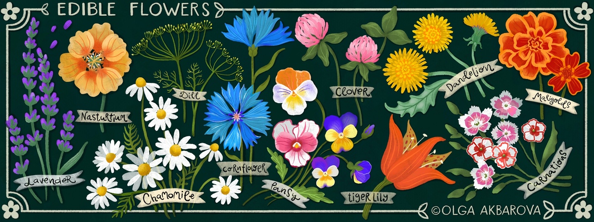 Common Edible Flowers by Olga Akbarova