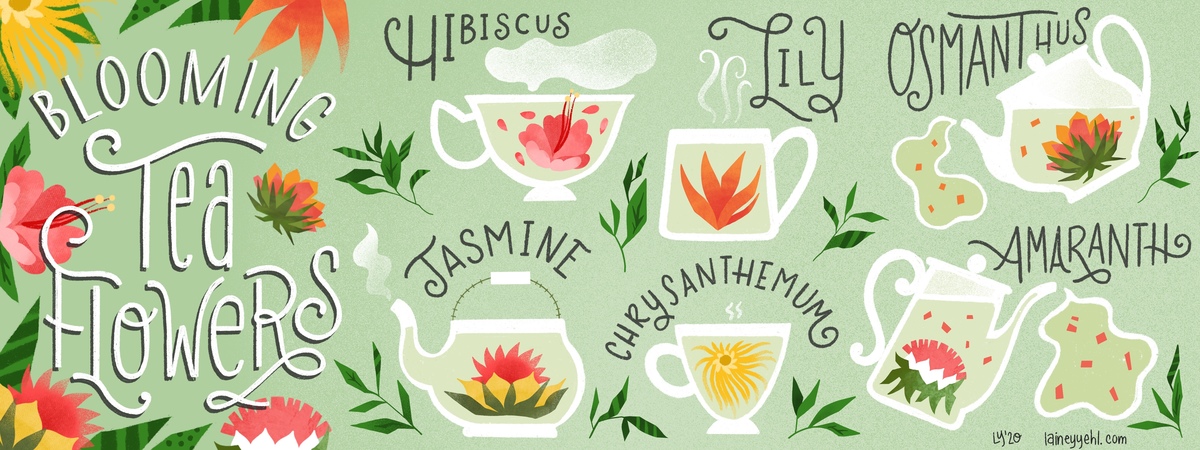 Blooming Tea Flowers by Lainey Yehl