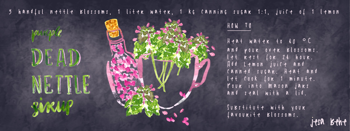 Purple Dead Nettle Sirup by jesa behe
