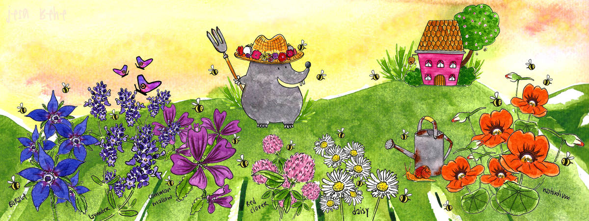 Edible Flower Garden by jesa behe