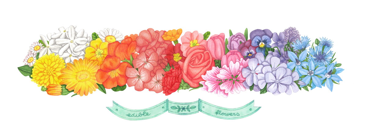 Edible flowers rainbow by Sara Tassan Mazzocco