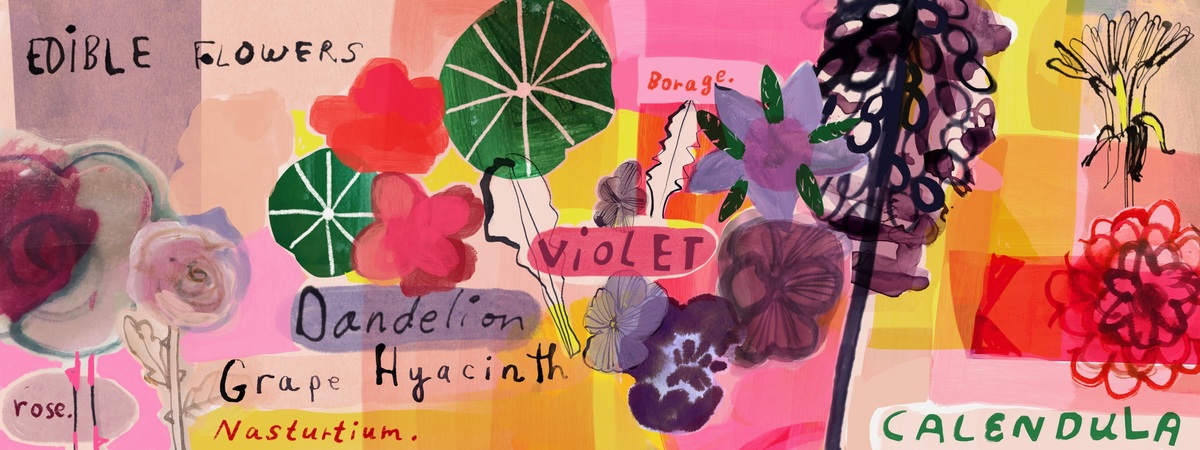 Edible Flowers by Colleen Harrington