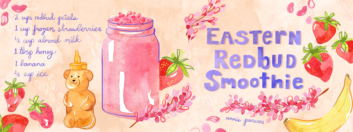 Eastern Redbud Smoothie by Annie Parsons