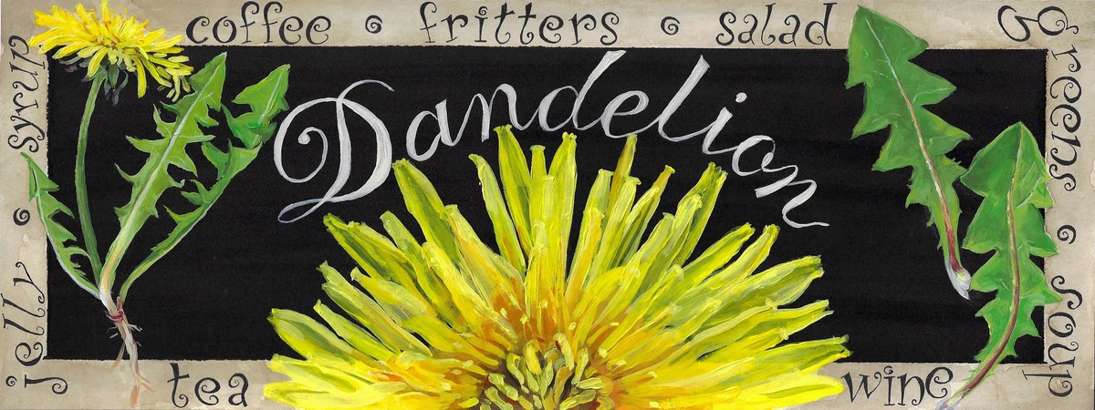 Dandelion by Juliana Skerrett
