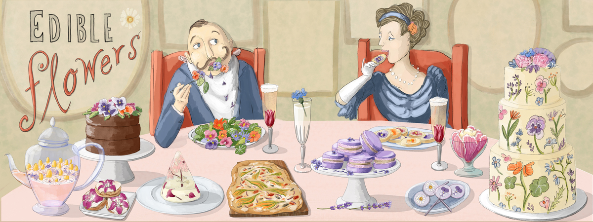 Incredible Edible Flowers by Valerie Hamill Illustrations