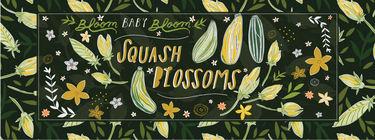 Blooming Squash Blossoms by Maddy Gabryel