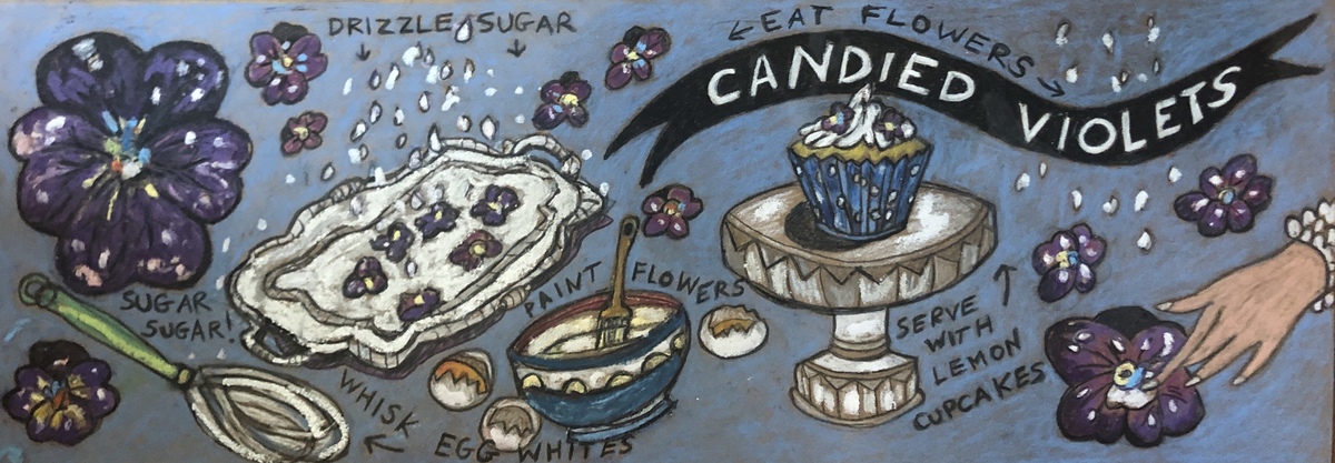 Candied Violets by Susan Ottaviano