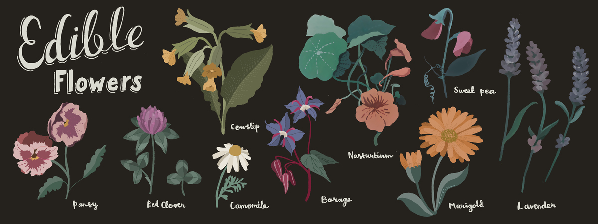 Edible flowers by Kicki Fjell