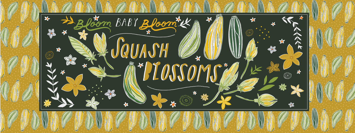 Blooming Squash Blossoms by Maddy Gabryel