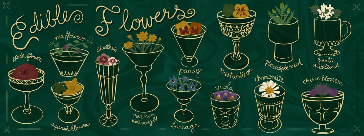 Edible Flower Garnish by Haley Flight Illustration