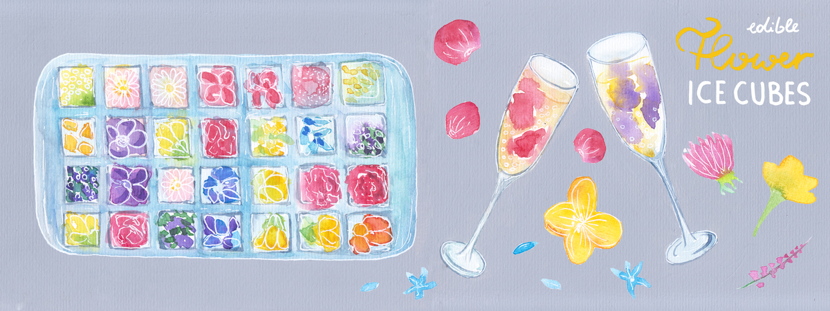 Edible Flower Ice Cubes by Cloudy King