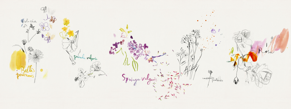 edible flowers for sweets and salads by Meta Wraber