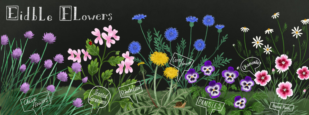 Floral garden selection by Rachel Moller illustration