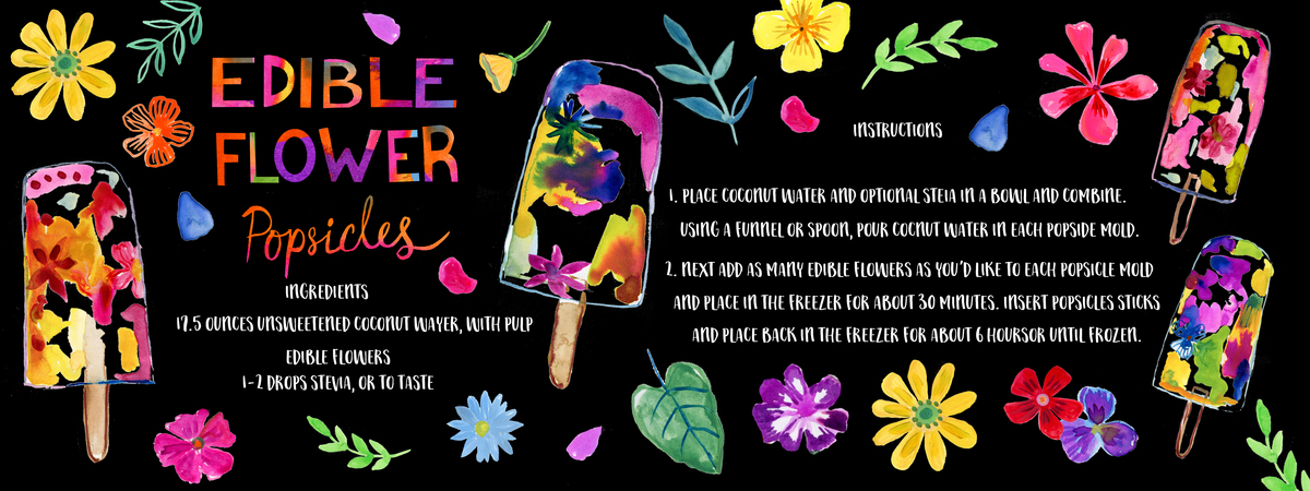 Edible Flower Popsicles by Farida Zaman
