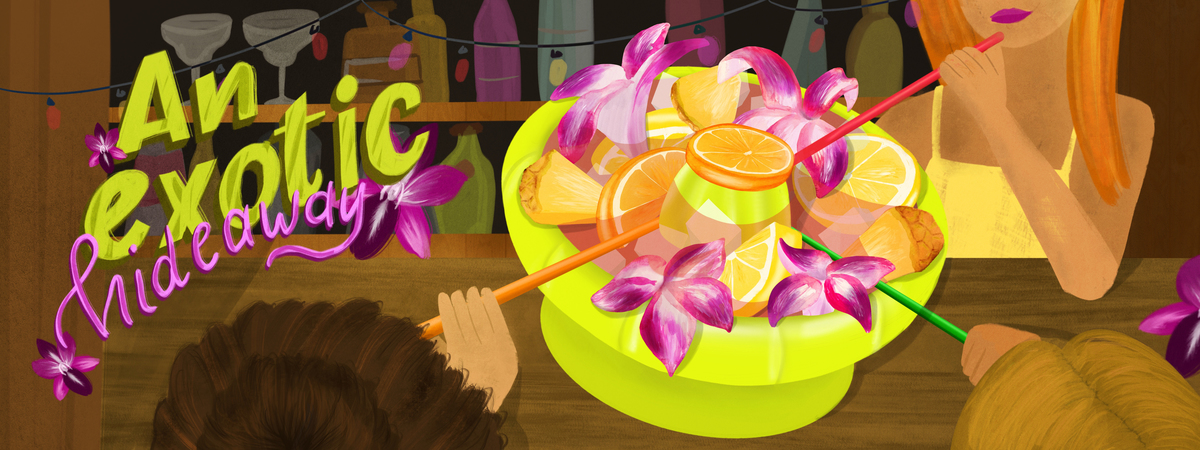 An exotic hideaway – edible Orchids by Emily Gommel
