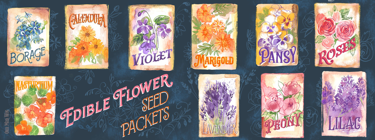 Vintage Edible Flower Seed Packets by Ohn Mar Win