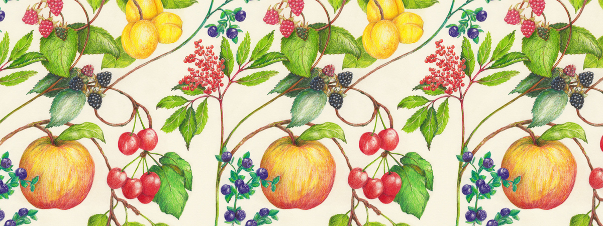 The Joy Of Summer by Honey Gherkin