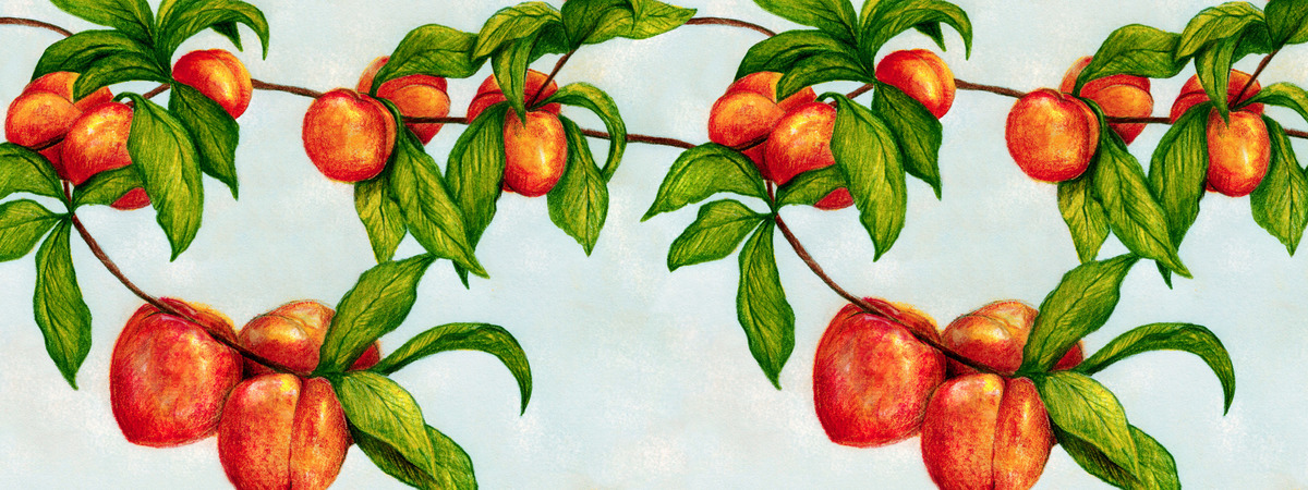 Under The Peach Tree by Honey Gherkin