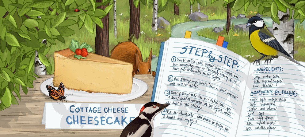 Cottage Cheese Cheesecake by Ema Reich