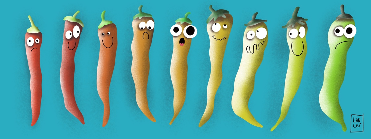 All hot peppers by Lab Liù