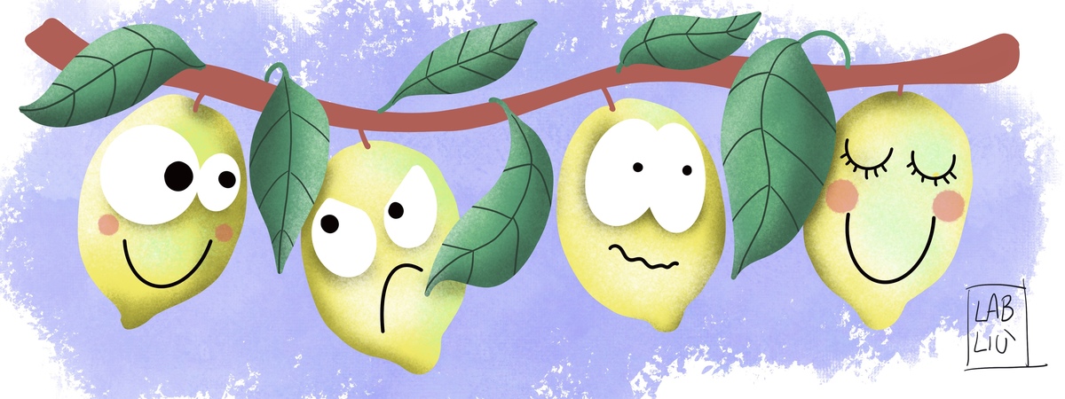 Lemons by Lab Liù