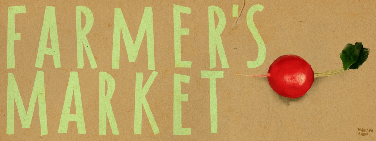 Farmer´s market radish by Mariana Mattos