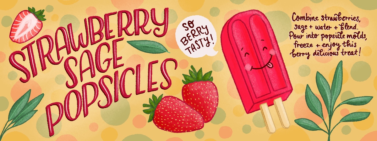Strawberry Sage Popsicles by Jennifer Hines