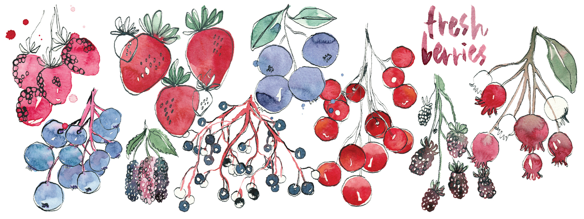 Fresh Berries by Sara Brenton