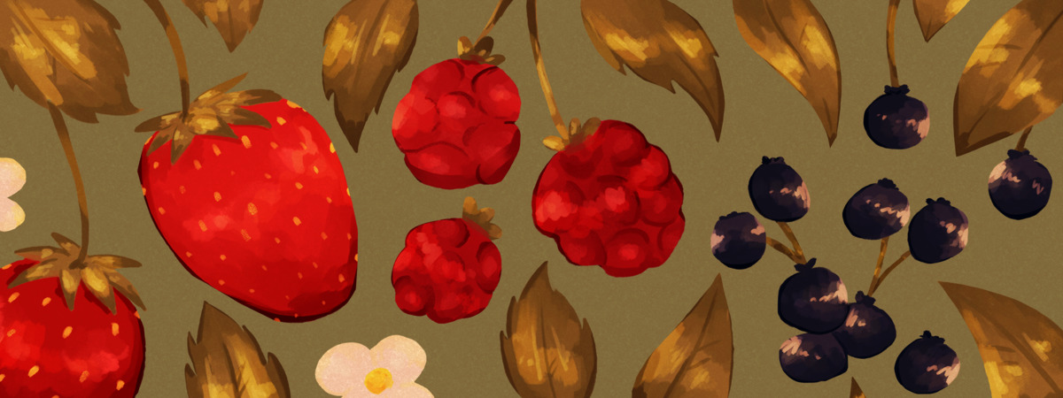 Berry Picking - Favourite Berries! by Smugcomputer