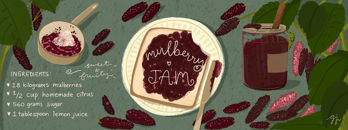 Mulberry jam by Garima Joshi Illustration & Design