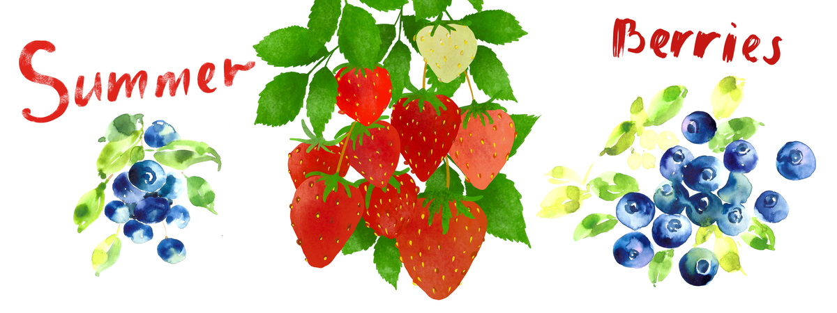 Summer berries by Tanya Amos