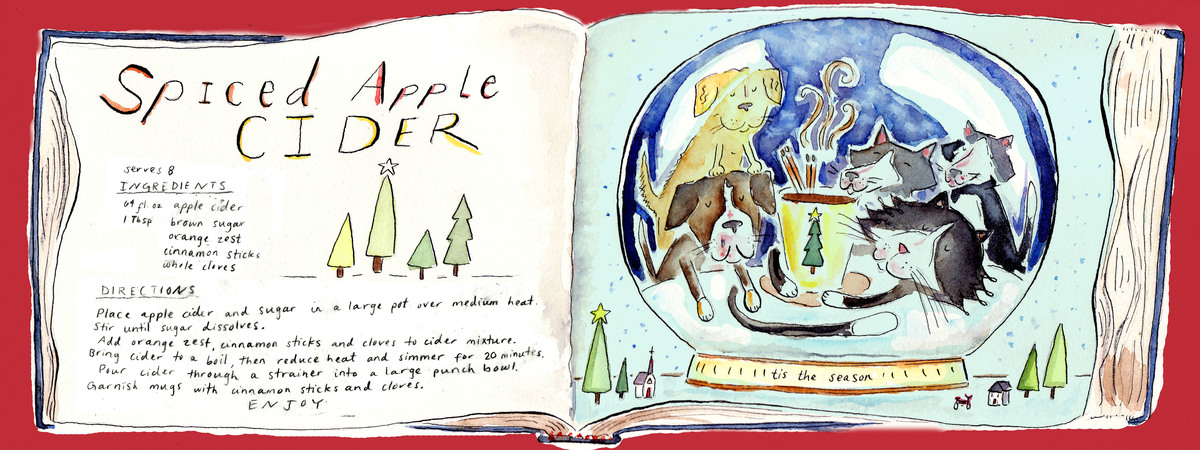 Spiced Cider by Molly Wilson Bergin