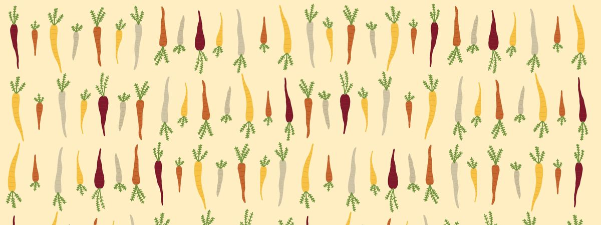 Not Enough Carrots by Naomi Angert