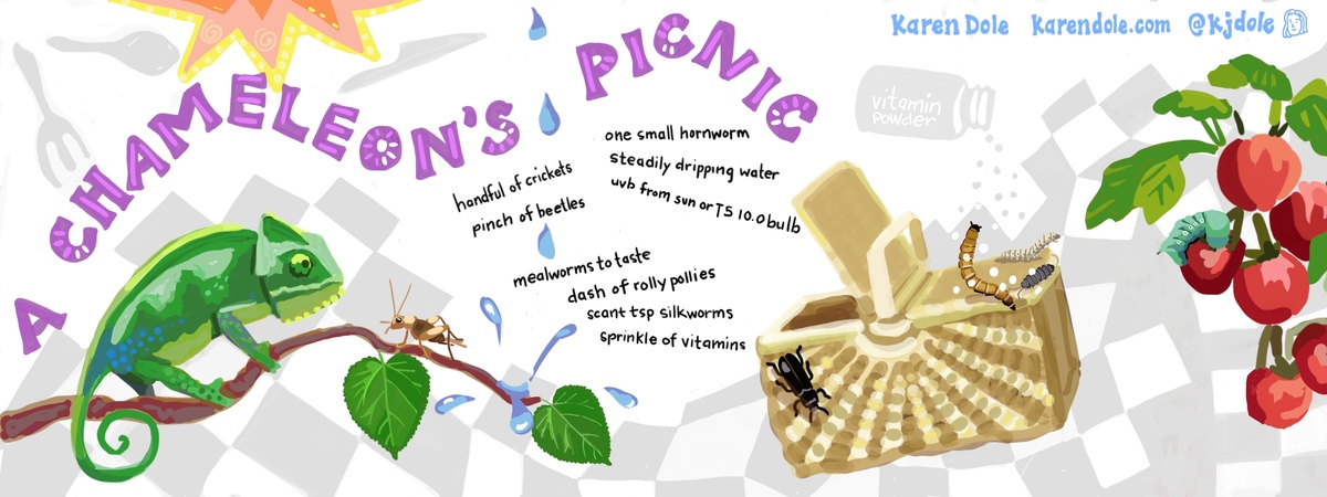 A Chameleon’s Picnic by kdole