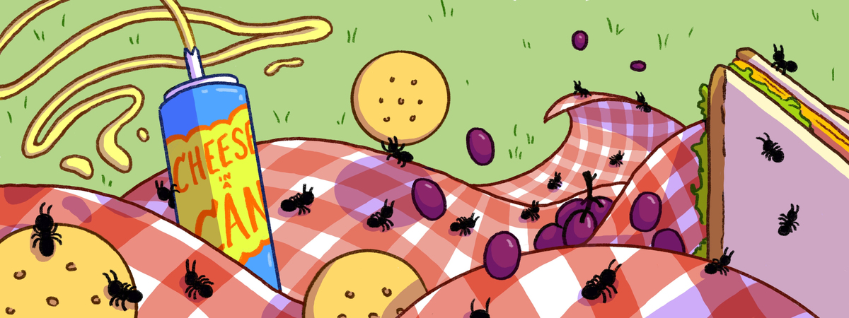Picnic Party by MEAGHAN CHANDONNET